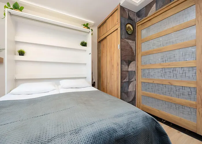 Comfortable Near Park Szczesliwicki By Renters Apartment